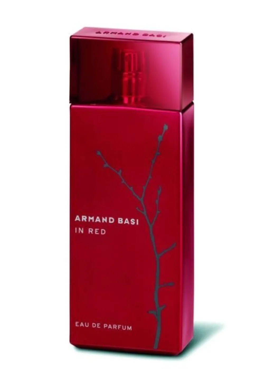 Armand Basi in Red 100ml eau de parfum spray