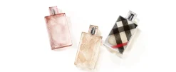 Burberry Brit Sheer 100ml eau de toilette spray