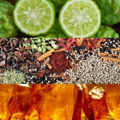 Calvin klein Obsession woman 100ml eau de parfum spray