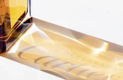 Cartier Declaration 100ml parfum spray