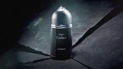 Cartier Pasha de Cartier Edition Noire 100ml eau de toilette spray