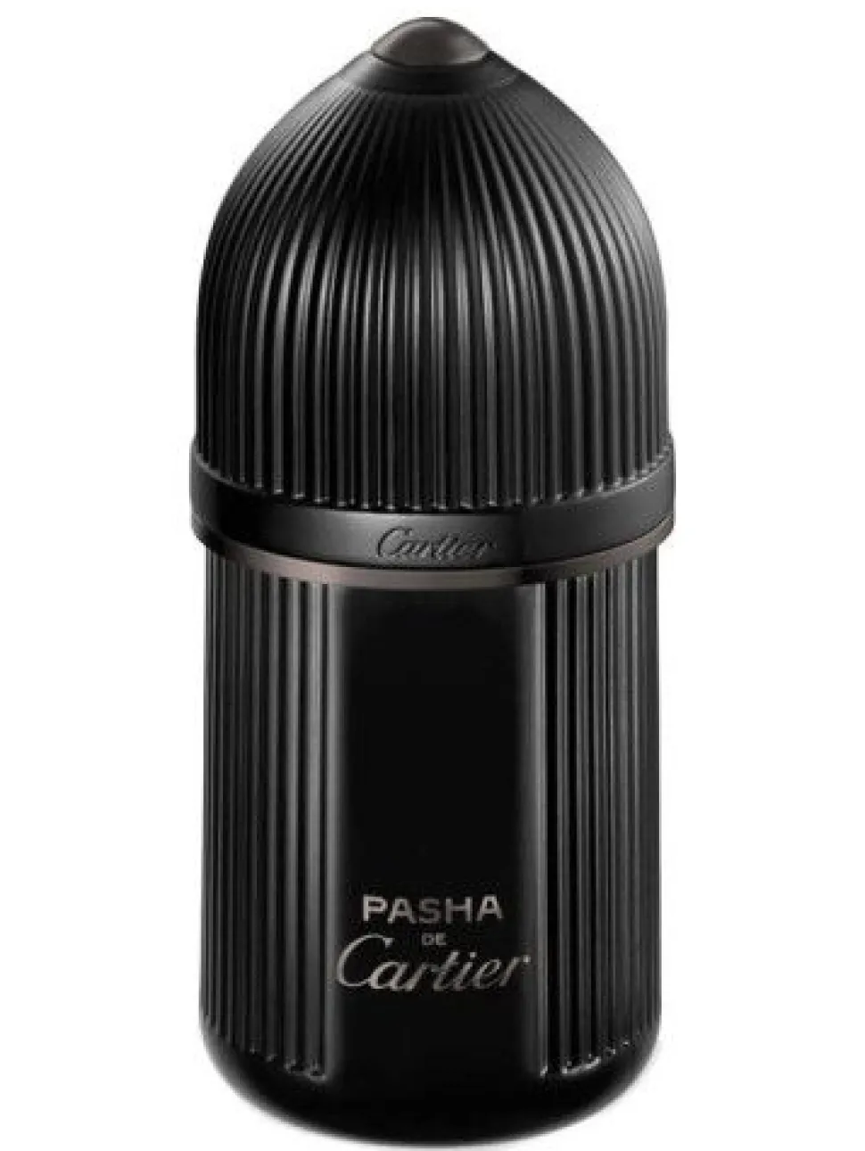 Cartier Pasha De Cartier Noir Absolu 100ml parfum spray