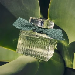 Chloe Rose Naturelle Intense 5ml eau de parfum miniatuur