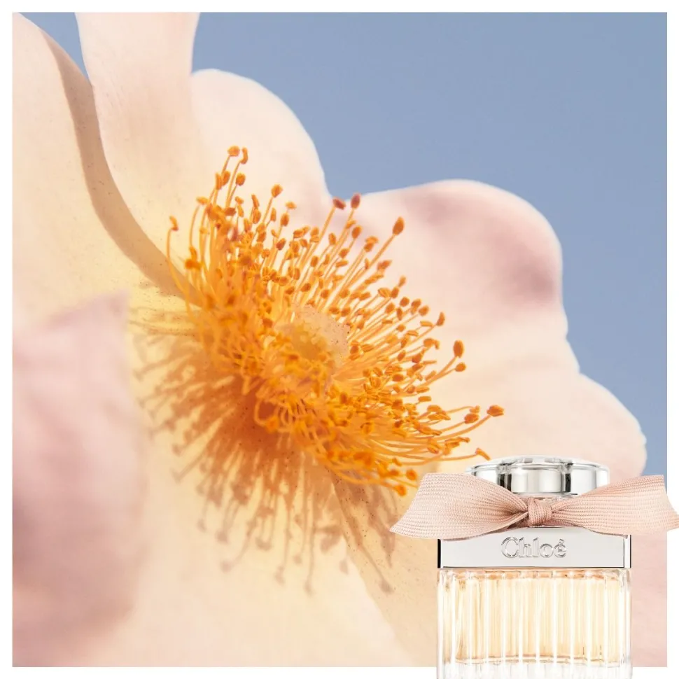 Chloe Set 50ml eau de parfum spray + 100ml Bodylotion