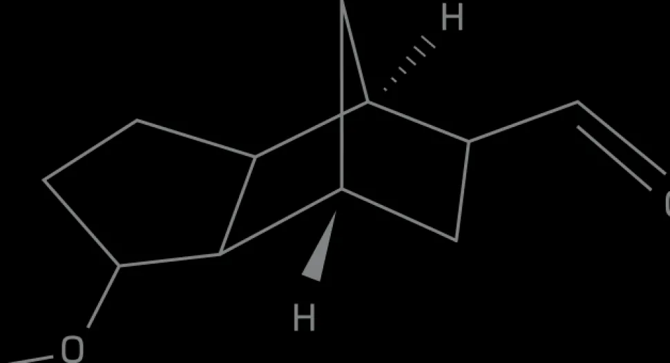 Escentric Molecules Molecule 03 100ml eau de toilette spray