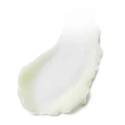 Estée Lauder Advanced Night Cleansing Balm With Lipid-Rich Oil Infusion 70ml