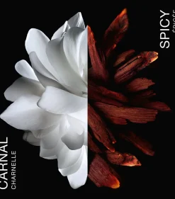 Givenchy L'Interdit Rouge 80ml eau de parfum spray