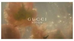 Gucci Bloom 100ml eau de parfum spray