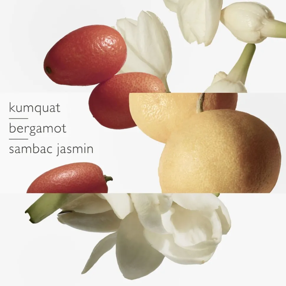 Hermes Le Jardin de Monsieur Li 50ml eau de toilette spray