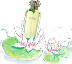 Hermes Un Jardin Sur le Nil Set 100ml edt + Zeep 50gr.