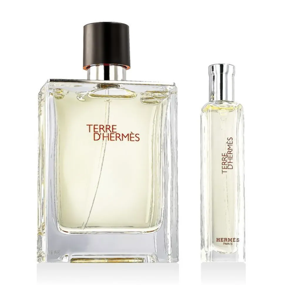 Hermès Terre d'Hermès Set 100ml edt + 15ml edt spray