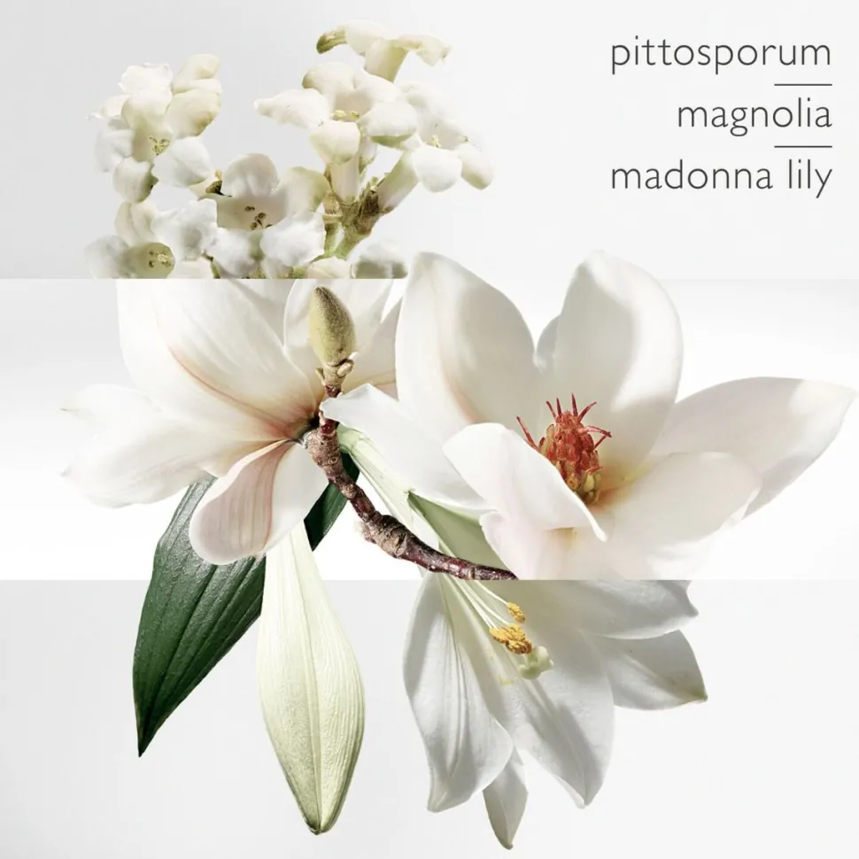 Hermès Un Jardin Sur La Lagune 30ml eau de toilette spray