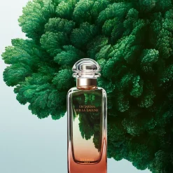 Hermès Un Jardin Sur La Lagune 100ml eau de toilette spray