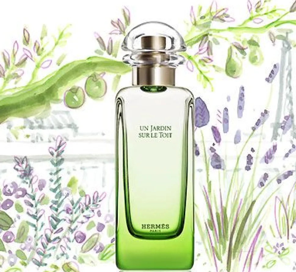 Hermès Un Jardin Sur le Toit 100ml eau de toilette spray