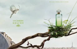 Hermès Un Jardin Sur le Toit 100ml eau de toilette spray