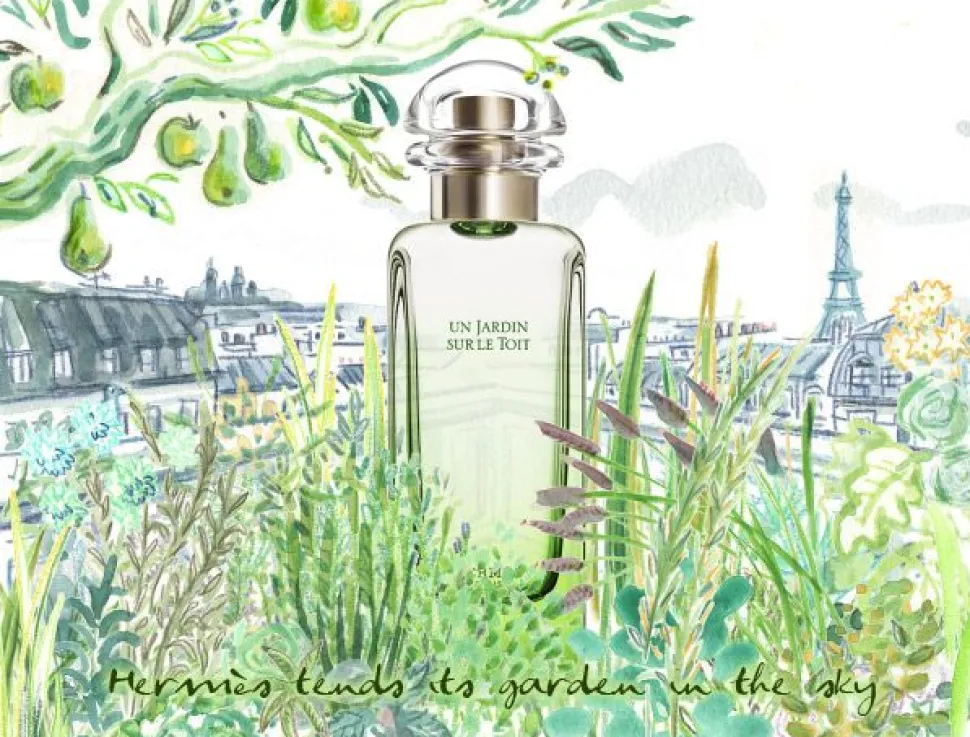 Hermès Un Jardin Sur le Toit 50ml eau de toilette spray