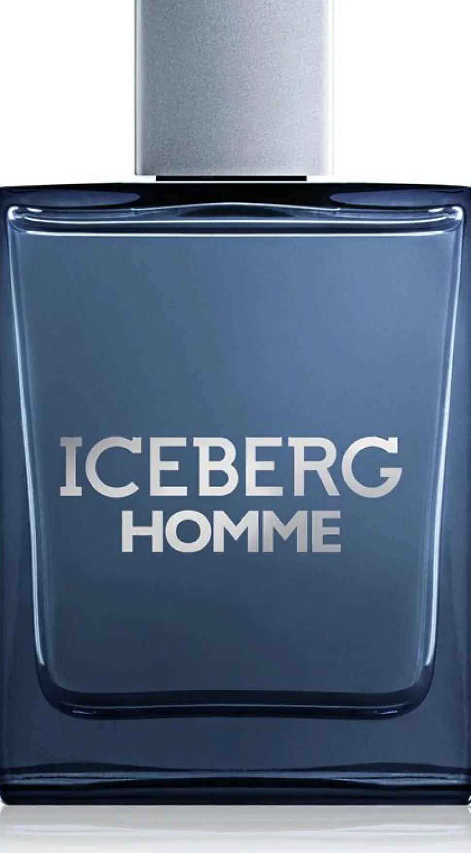 Iceberg Homme 100ml eau de toilette spray
