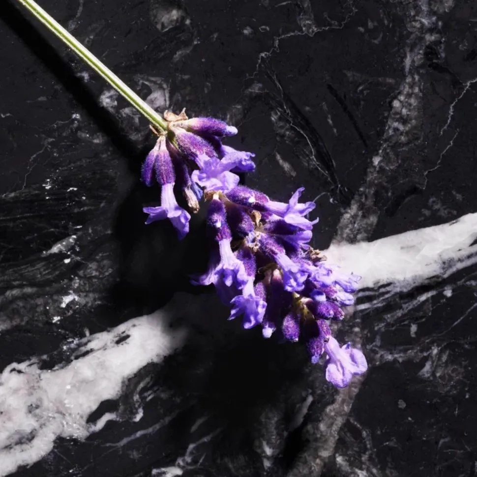 Joop Homme Le Parfum 75ml Parfum Spray