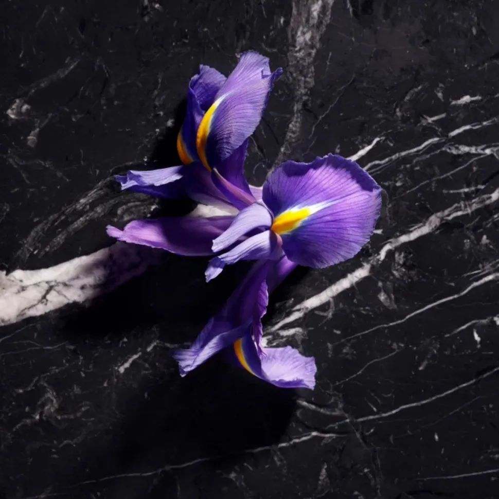 Joop Homme Le Parfum 125ml Parfum Spray