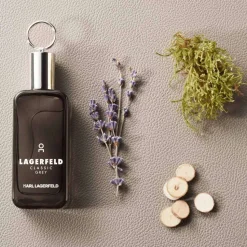 Karl Lagerfeld Classic Grey 100ml eau de toilette spray