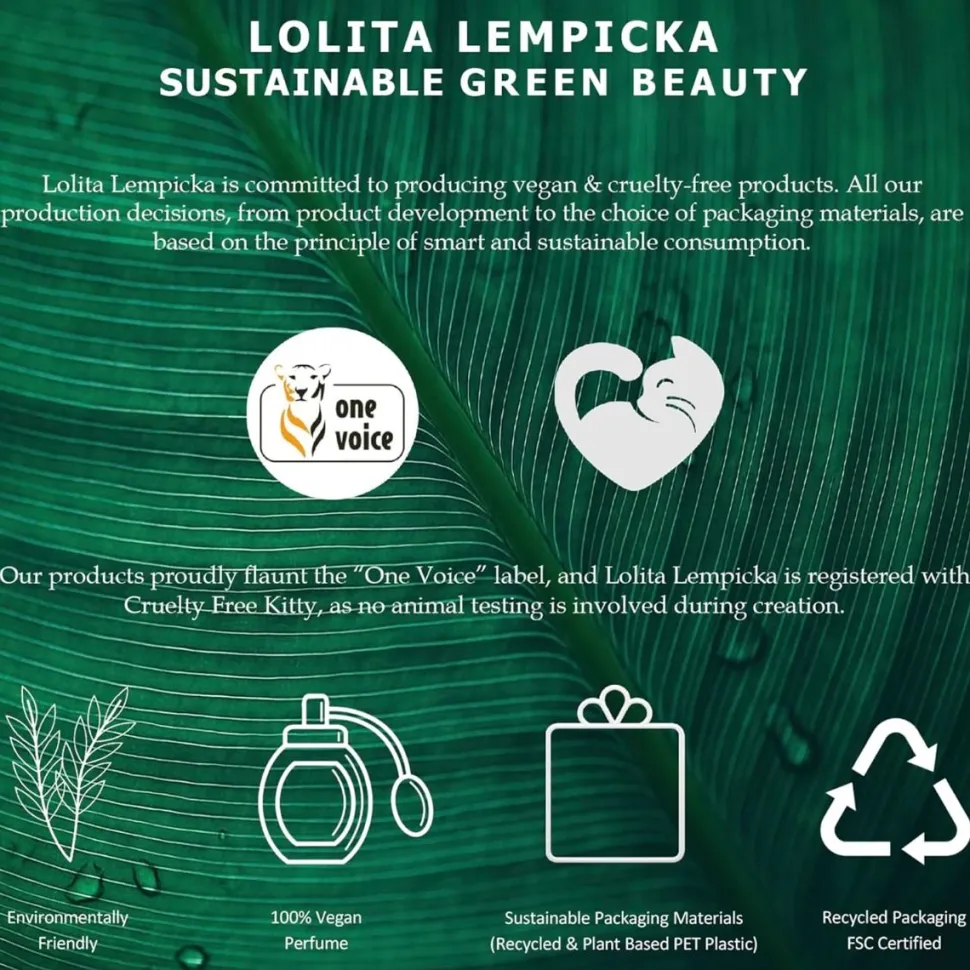 Lolita Lempicka Homme 100ml eau de toilette spray