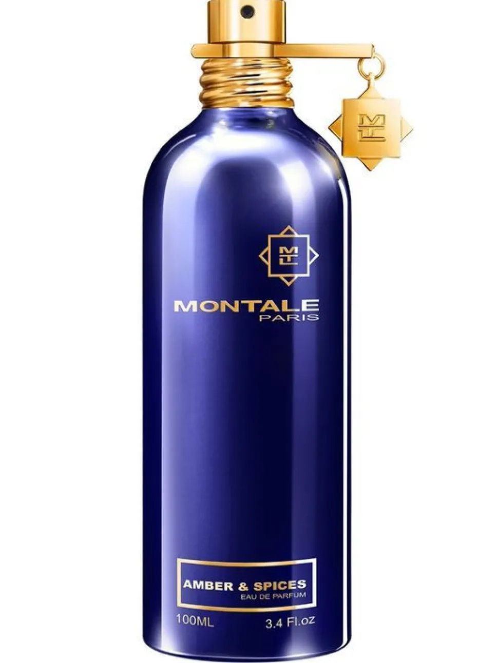 Montale Amber & Spices 100ml eau de parfum spray