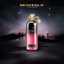 Montale Starry Nights 100ml eau de parfum spray