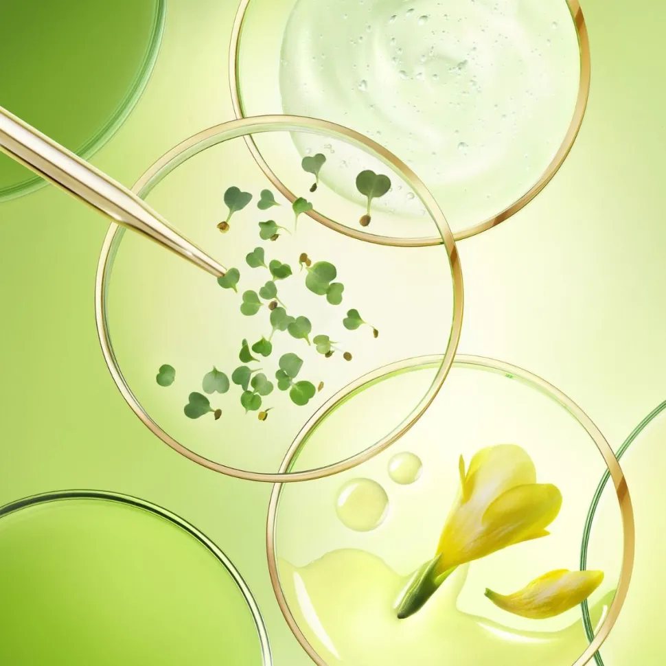 Nuxe Nuxuriance Ultra The Global Anti-Aging Cream SPF30 50ml