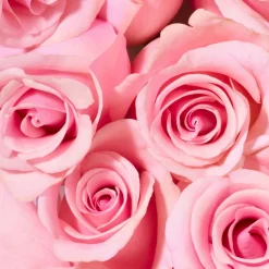 Nuxe Very Rose Soothing Showergel 750ml Maxi-Size!