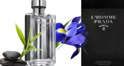 Prada L'Homme 100ml eau de toilette spray