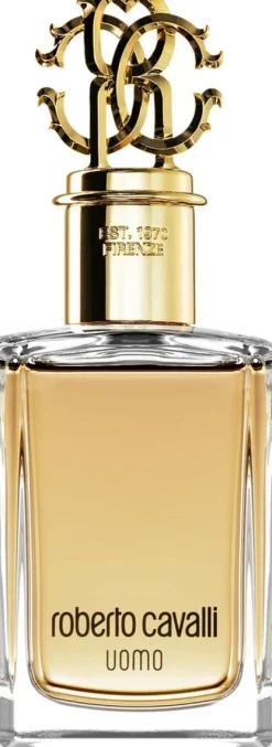 Roberto Cavalli Uomo 100ml eau de toilette spray
