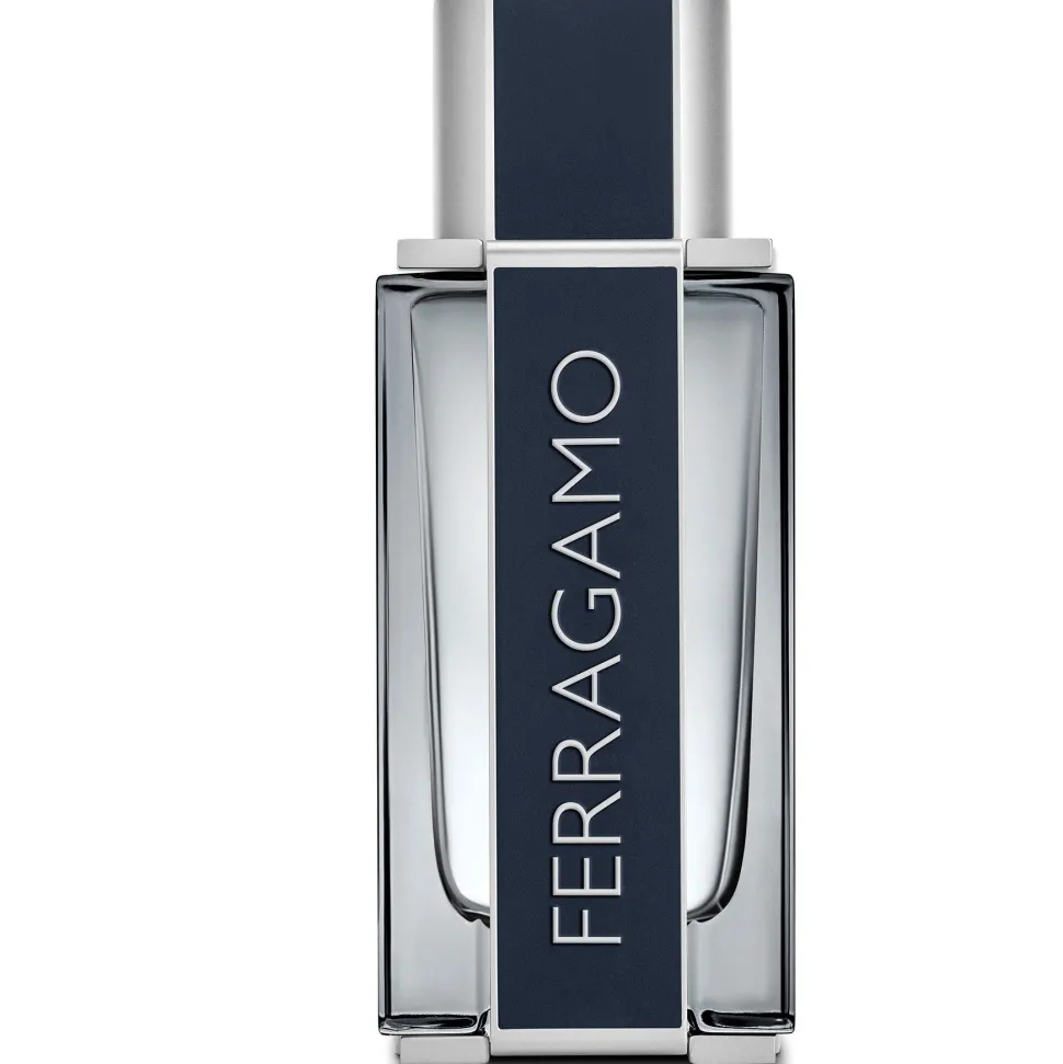 Salvatore Ferragamo Ferragamo 100ml eau de toilette spray