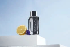 Salvatore Ferragamo Ferragamo 100ml eau de toilette spray