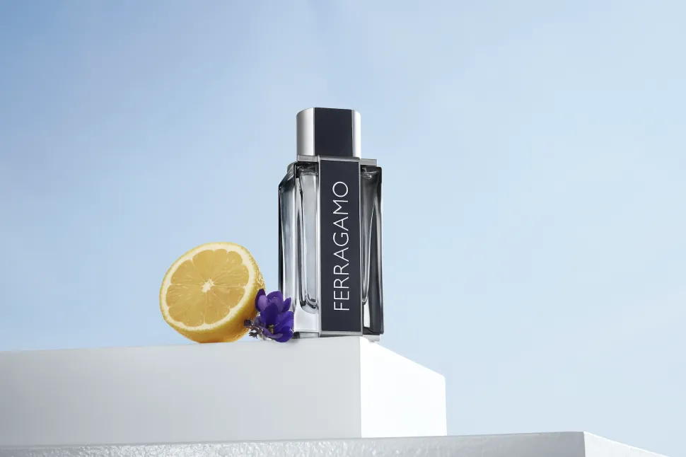 Salvatore Ferragamo Ferragamo 100ml eau de toilette spray