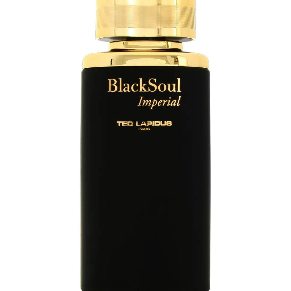 Ted Lapidus Black Soul Imperial 100ml eau de toilette spray