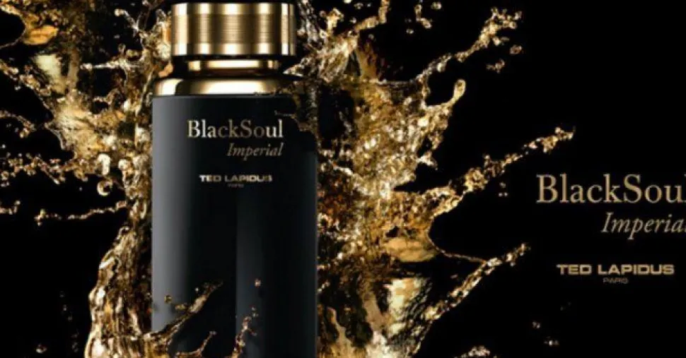 Ted Lapidus Black Soul Imperial 100ml eau de toilette spray