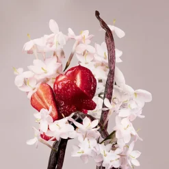 Valentino Valentina 50ml eau de parfum spray